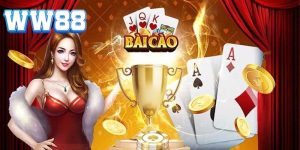 Bài Cào Rùa WW88 - Đẳng Cấp Game Bài Số 1 Châu Á 2024