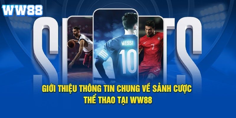 Các môn thi đấu phổ biến tại thể thao WW88