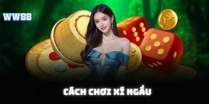 Cách Chơi Xí Ngầu Trăm Trận Trăm Thắng Dành Cho Tân Thủ