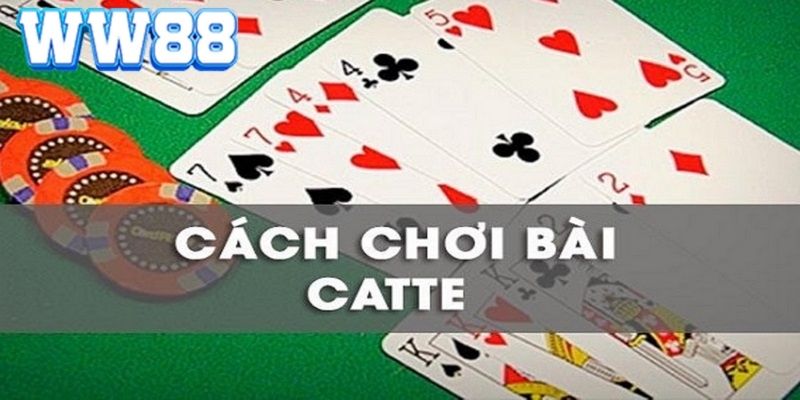 Hướng dẫn chi tiết cách chơi Catte qua từng vòng