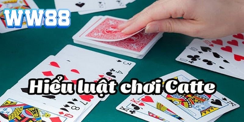 Khám phá luật chơi Catte - Từ cơ bản đến chuyên sâu